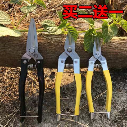 罗定小型采果剪刀采摘葡萄柑橘蔬果剪刀园林果树省力花枝修枝剪刀
