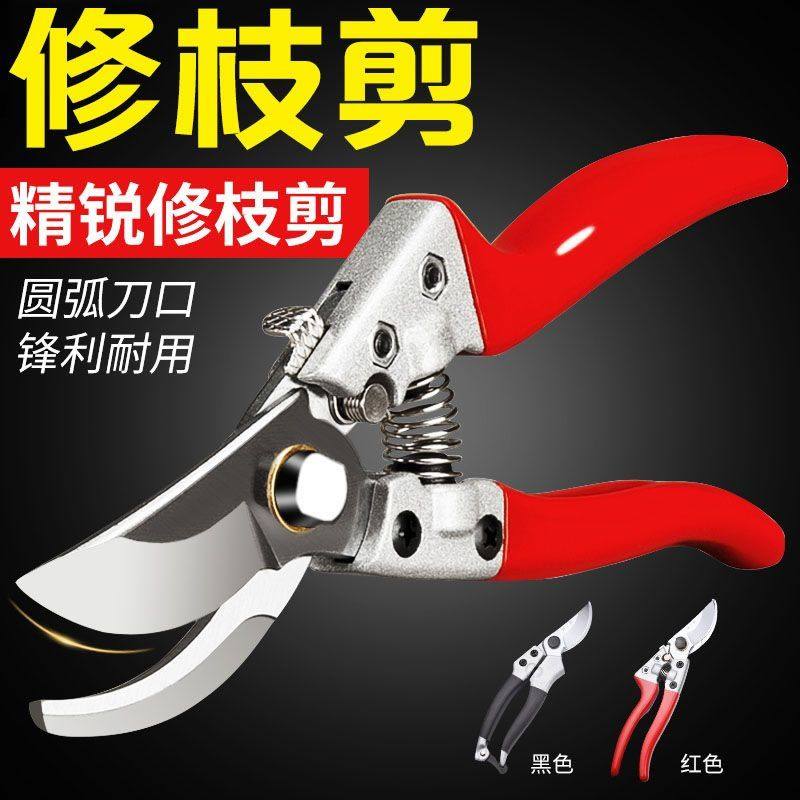 日本进口SK5修枝剪大径园林树果