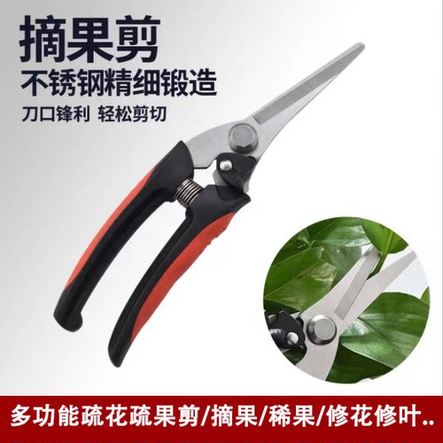 不锈钢摘果剪园艺剪刀修枝剪葡萄火龙果剪采摘花椒神器专用稀果剪