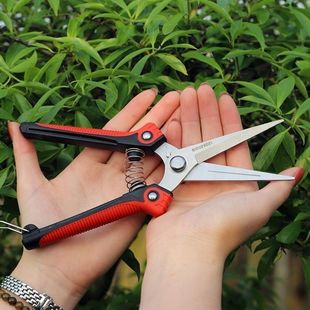 稀果剪葡萄剪修枝剪园艺采摘果剪多功能苗圃花卉柑橘水果桃胶剪刀