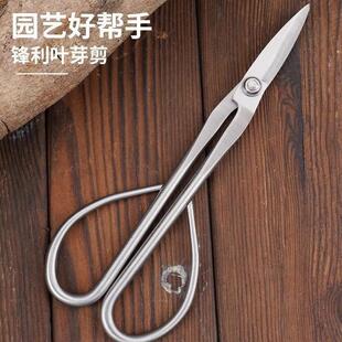 加厚不锈钢园艺兰花剪刀修剪专用叶芽修枝剪盆景插花造型枝叶花艺