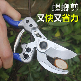 螳螂剪园艺果树枝修剪刀进口SK5省力花枝剪树枝剪子整枝园林工具
