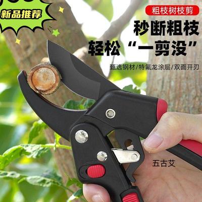 助力果树修枝剪树枝花艺枝剪子粗枝剪枝园林工具省力修剪园艺剪刀