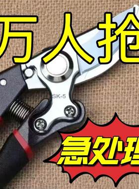 粗枝剪新款剪树剪子果树剪强力新款SK5剪刀羊蹄子剪刀树枝园艺剪
