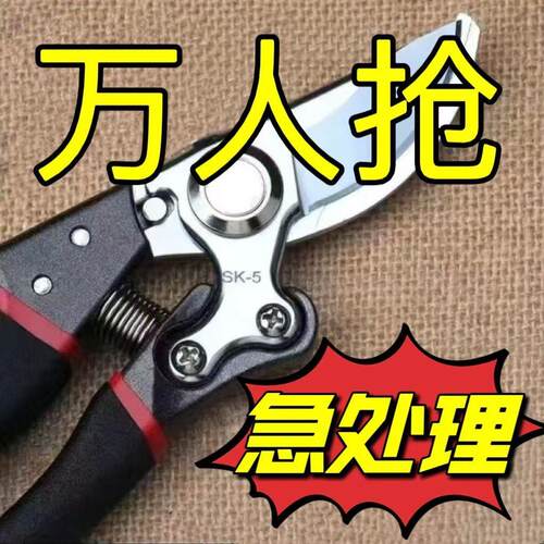 粗枝剪新款剪树剪子果树剪强力新款SK5剪刀羊蹄子剪刀树枝园艺剪