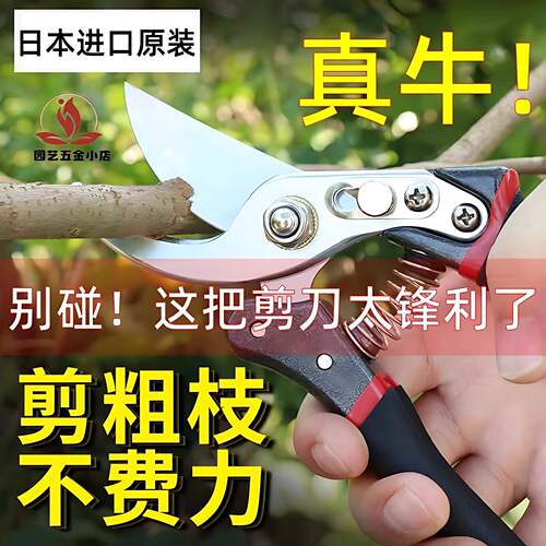 原装德国工艺SK5修枝剪刀园林果树大号花木粗枝剪子羊蹄子园艺剪