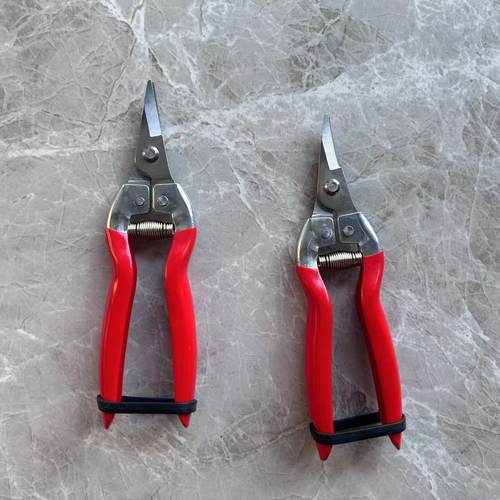 加厚不生锈钢采果剪弯头刀稀摘番