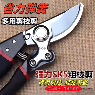 工艺强力加厚钢果树修枝剪粗枝剪刀园林园艺修花剪家用神器 新款