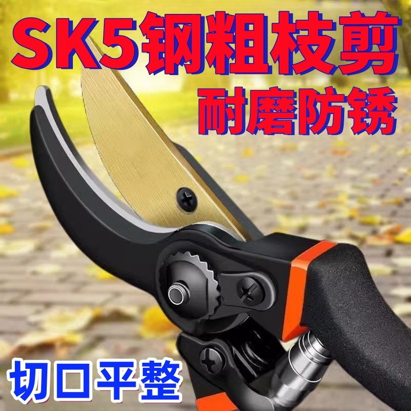 德国进口SK5强力园艺剪不锈钢省图片