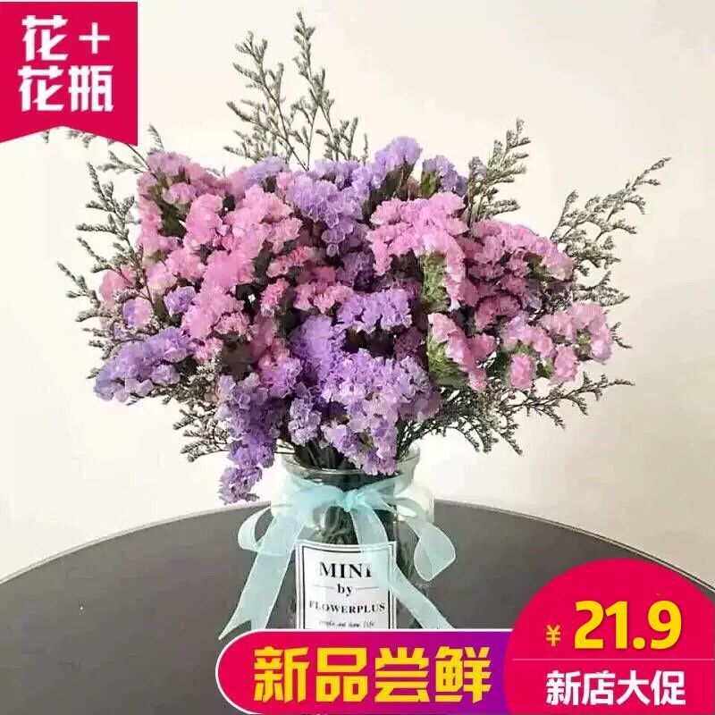 ins勿忘我干花花束客厅满天星