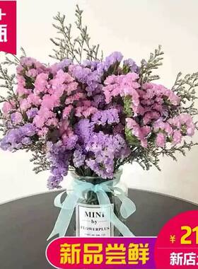 ins勿忘我干花花束客厅满天星