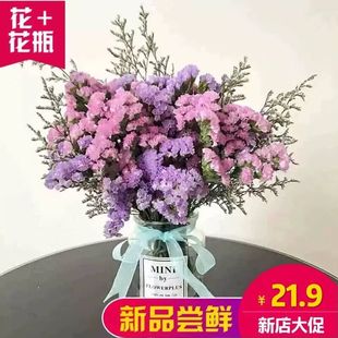 ins北欧勿忘我干花花束家居摆设客厅装饰小清新干花带花瓶满天星