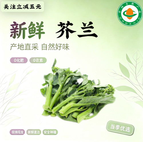 有机芥兰 新鲜翠绿 有机认证无农残 送货上门 孕妇宝宝可食用绿色