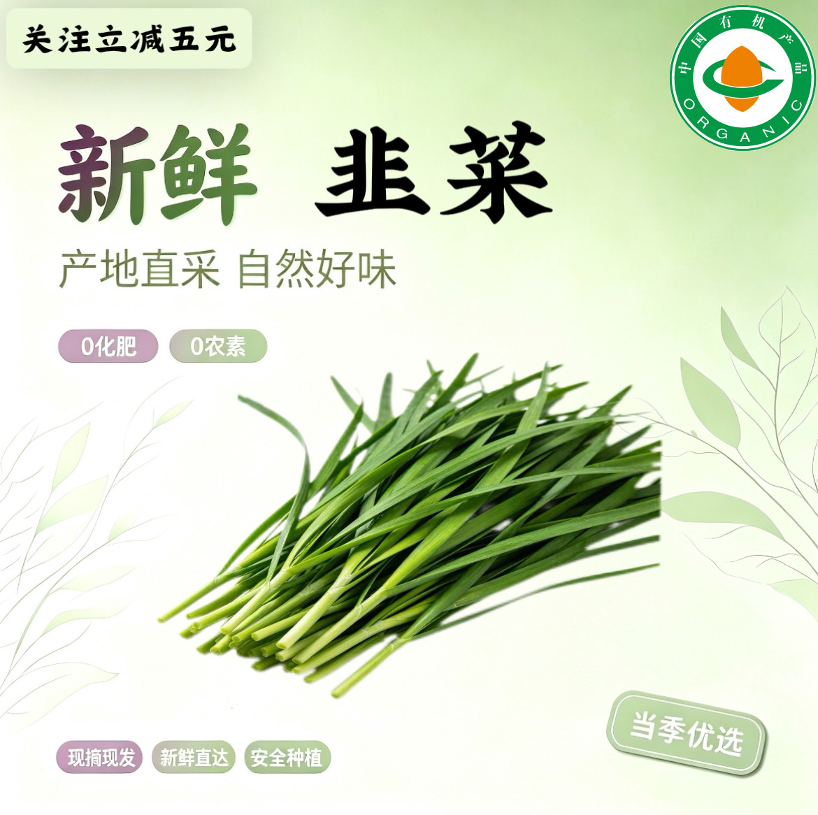 2斤有机韭菜 有机认证无农残 叶菜类
