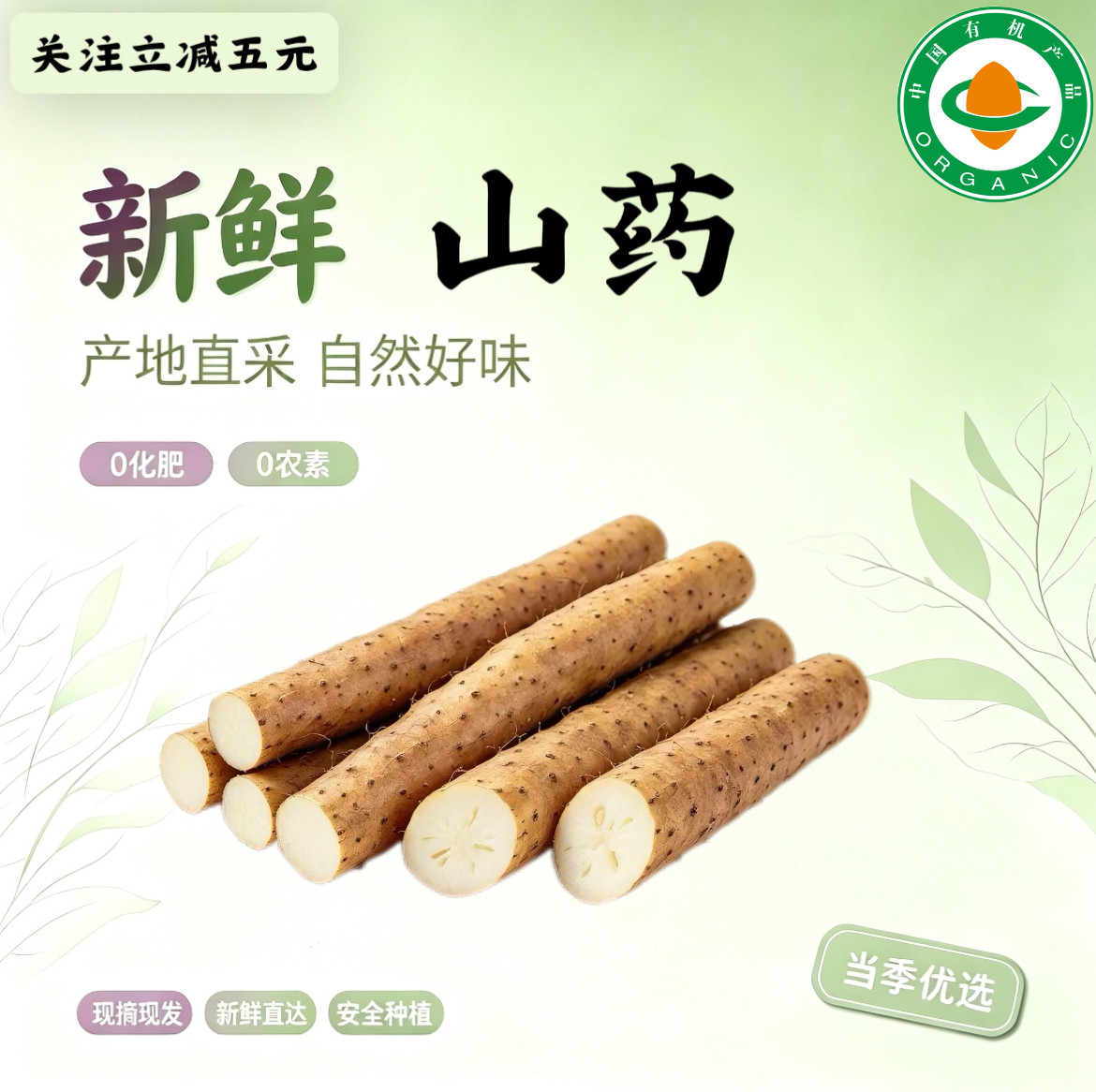 有机铁棍山药 有机认证无农残 现挖现发清脆营养美味顺丰新鲜