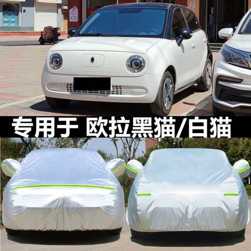 适用于欧拉r1黑猫r2白猫新能源车