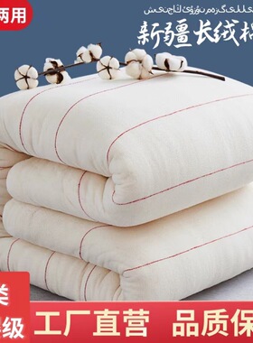 新疆棉花被四季被芯春秋被子学生加厚10斤冬被芯棉絮垫被棉胎