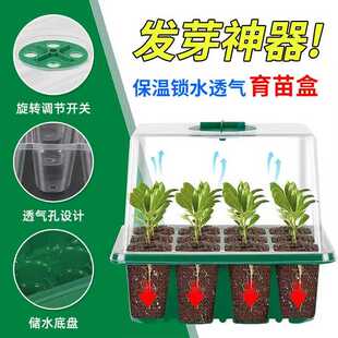 加高加厚6孔12孔育苗盒带灯带透气盖育苗盘育苗播种叶插扦插种植