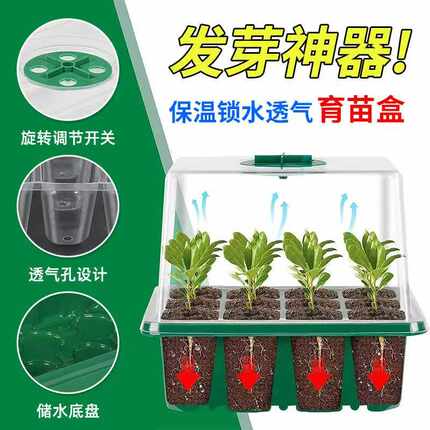 加高加厚6孔12孔育苗盒带灯带透气盖育苗盘育苗播种叶插扦插种植