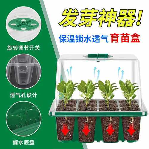 加高加厚6/12孔育苗盒带灯育苗盘