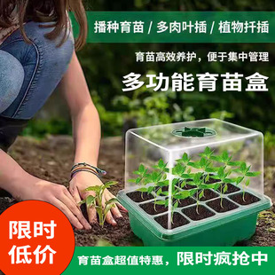 12孔育苗盒加厚加高多肉叶插扦插保温保湿透气发芽率高播种育苗盘