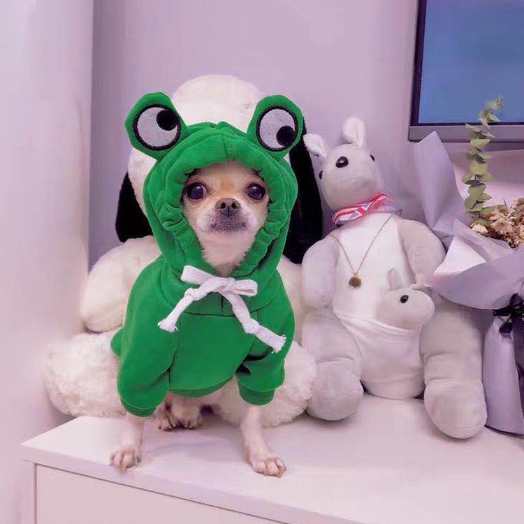 清仓#秋冬装博美泰迪雪纳瑞幼犬狗狗宠物可爱搞怪加绒保暖卫衣