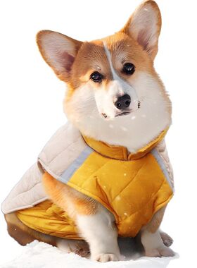 促销款宠物衣服秋冬棉衣加厚保暖反光狗狗柯基衣服冬季宠物用品