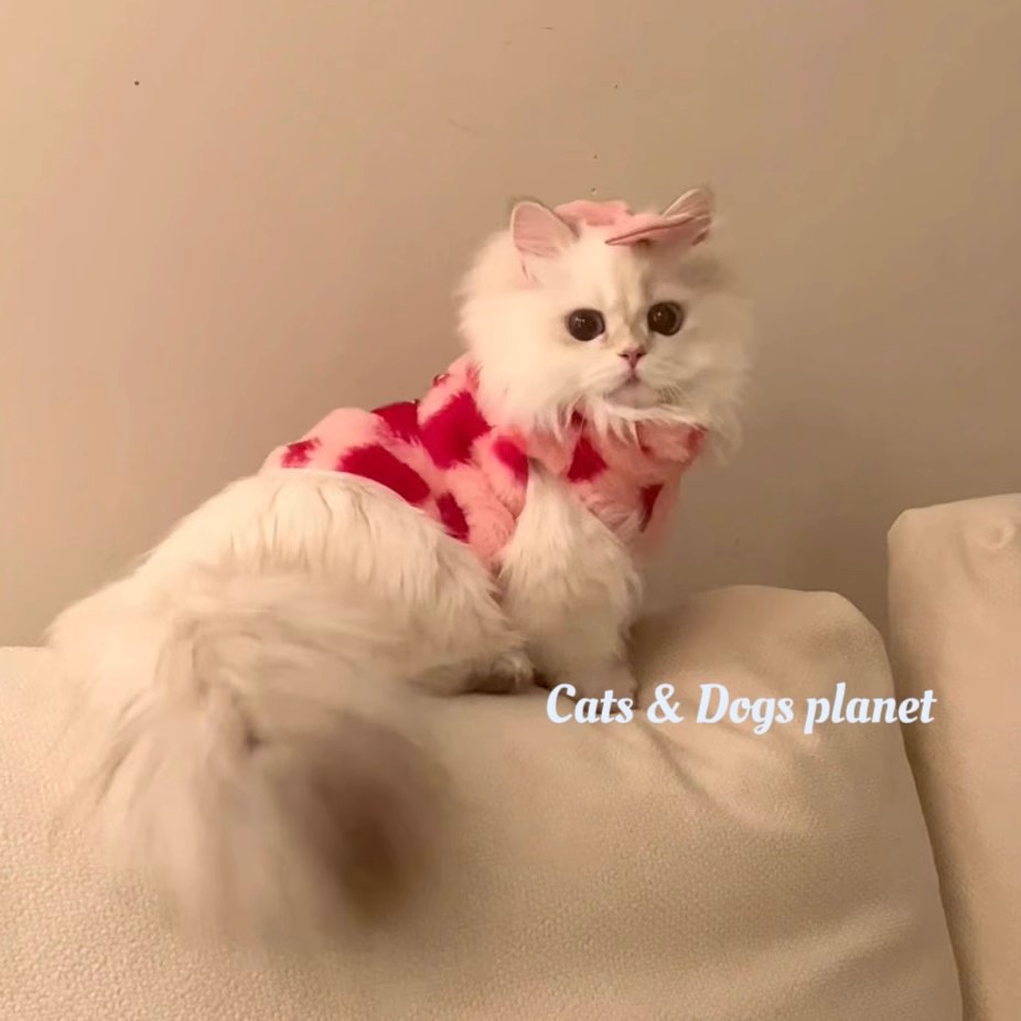 小猫咪衣服秋冬毛绒爱心保暖背心马甲布偶银渐层小猫幼猫宠物冬装