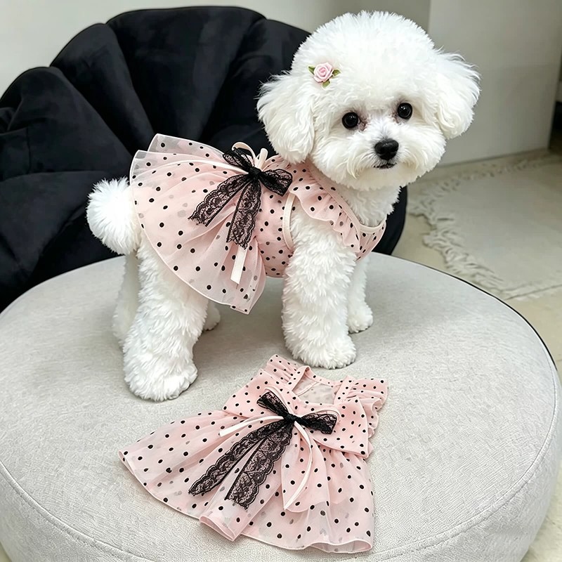 狗狗波点蕾丝连衣裙宠物服装公主裙小猫咪裙子夏季薄款蓬蓬裙纱裙