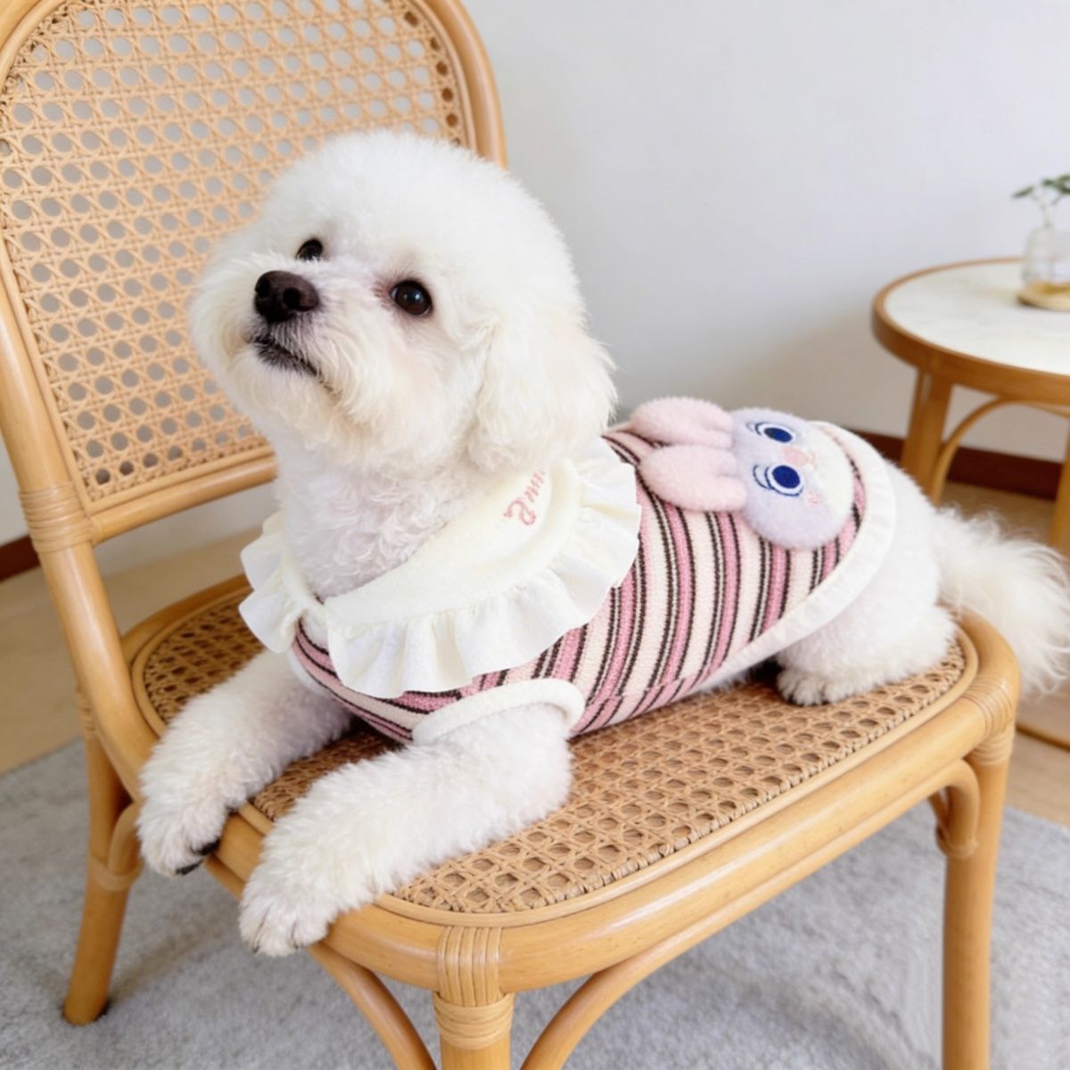 新款宠物秋冬装泰迪比熊狗狗猫咪衣服冬季可牵引狐狸玩偶两脚衣