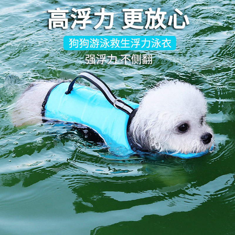 狗狗游泳衣浮力救生衣批发夏季玩水衣服泳池小中型犬泰迪宠物外贸