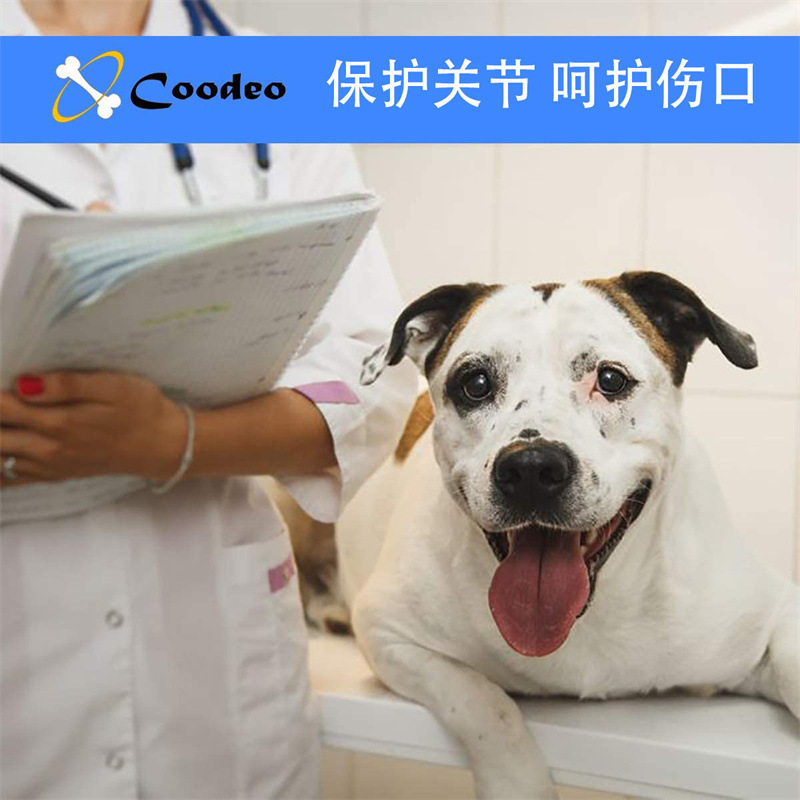 宠物狗护膝狗狗前腿保护套腿部受伤护具护肘衣秋冬关节保暖套批发