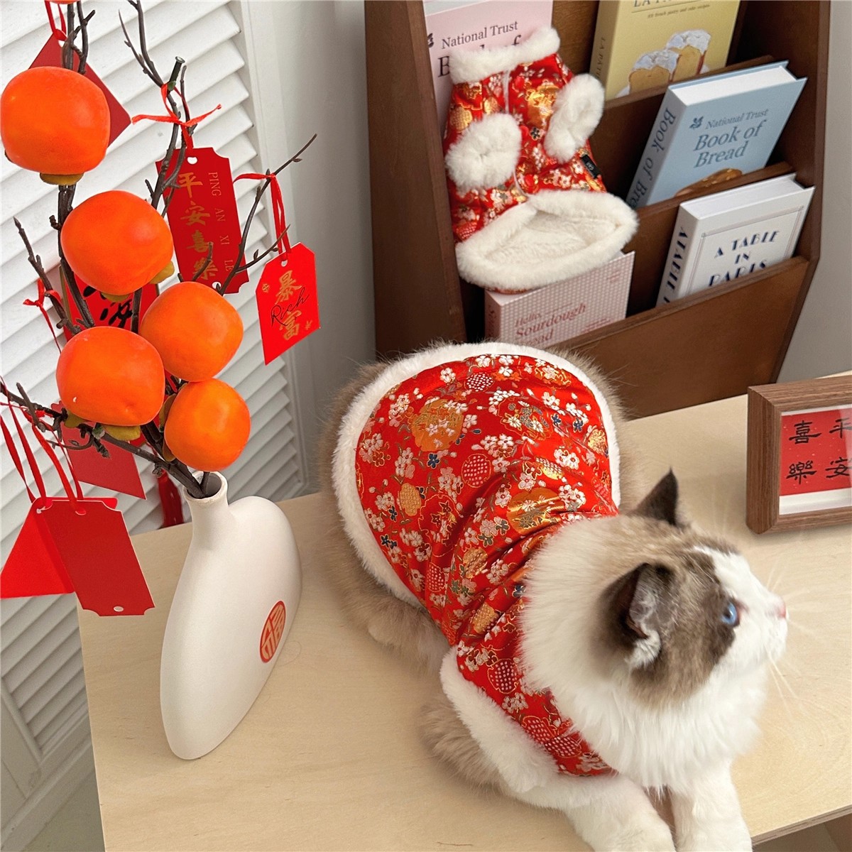宠物衣服秋冬新款加绒新年唐装布偶小猫蓝猫幼猫旗袍过年背心马甲