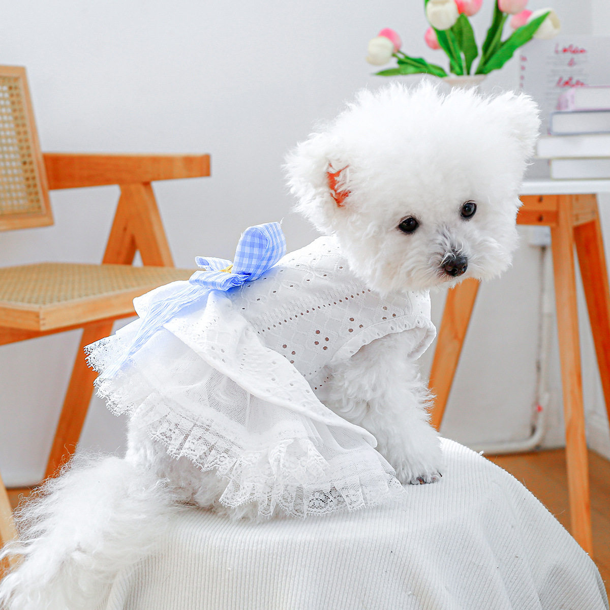 现货宠物服装宠物小狗猫咪衣服可爱小型犬春夏薄款海盐蓬蓬裙子