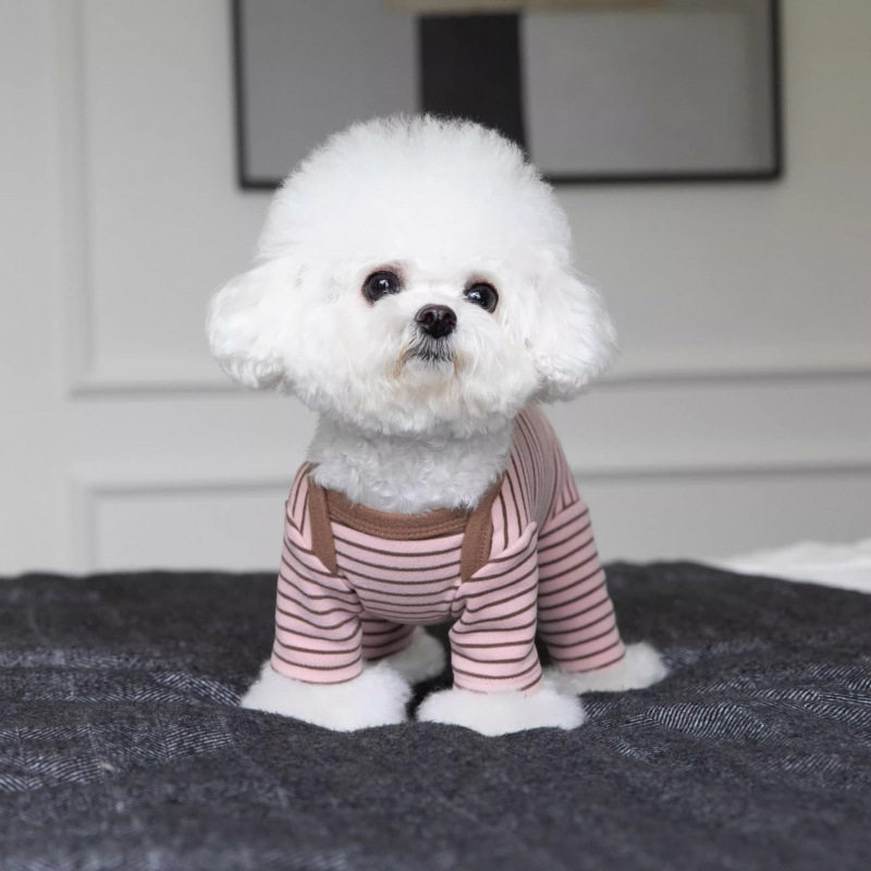 条纹包肚子春秋款冬款四脚裤泰迪狗狗猫咪宠物衣服小型幼犬四脚衣