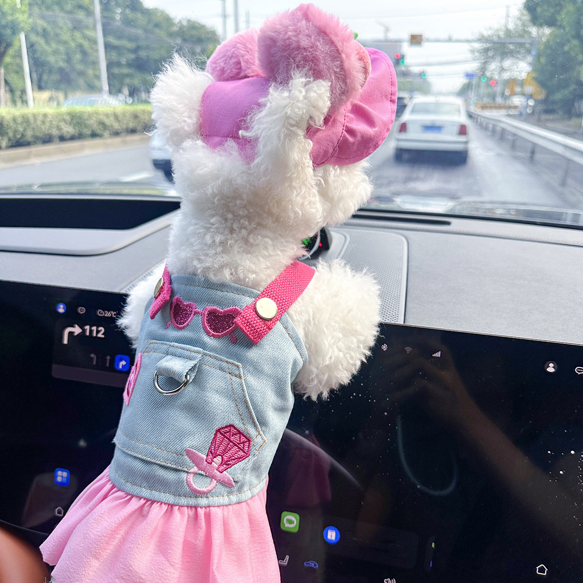 PETCIRCLE宠物小狗猫咪衣服可爱小型犬春秋款粉红时尚牛仔裙