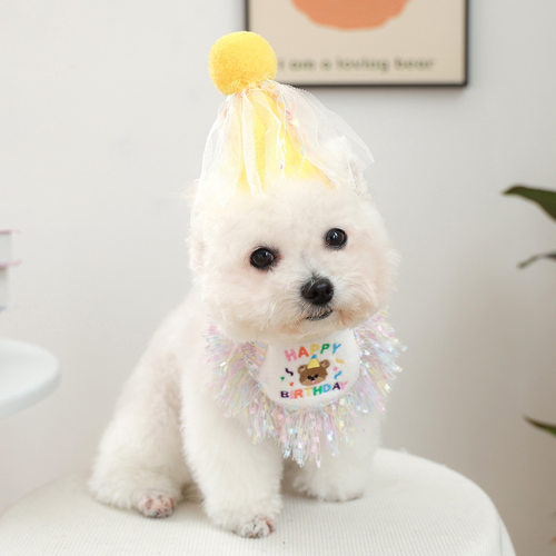 PETCIRCLE宠物生日狗狗拍照道具宠物猫咪狗狗口水巾生日装备装饰