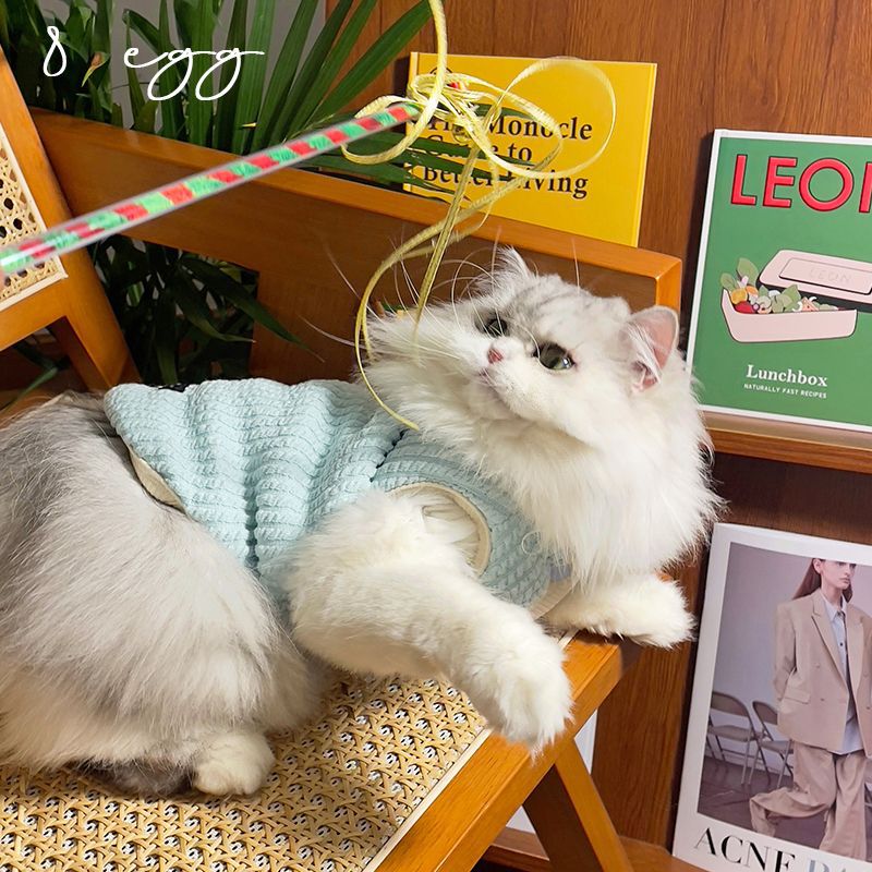 秋冬款猫咪马甲衣服布偶猫蓝猫小猫幼猫宠物可爱加绒保暖背心批发