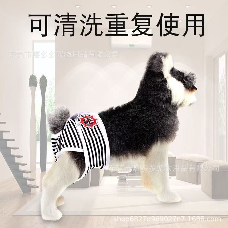 宠物狗狗生理裤泰迪安全卫生裤月经裤母狗生理期用品内裤姨妈裤子