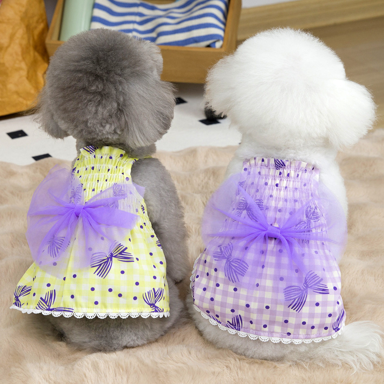 春夏宠物裙子狗狗衣服泰迪比熊小型犬宠物夏季公主橙子蝴蝶结纱裙