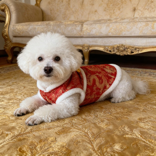 喜庆新年狗狗过冬衣服宠物冬季加绒加厚比熊泰迪幼犬过年保暖唐装
