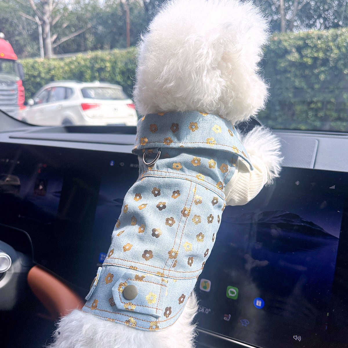 PETCIRCLE宠物小狗猫咪衣服可爱工厂春夏新款烫金花朵牛仔马甲