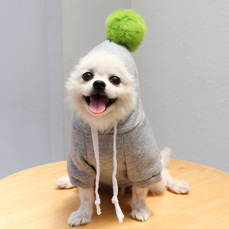 狗狗猫咪带球卡通卫衣宠物泰迪法斗秋冬狗衣服猫用品潮牌博美批发