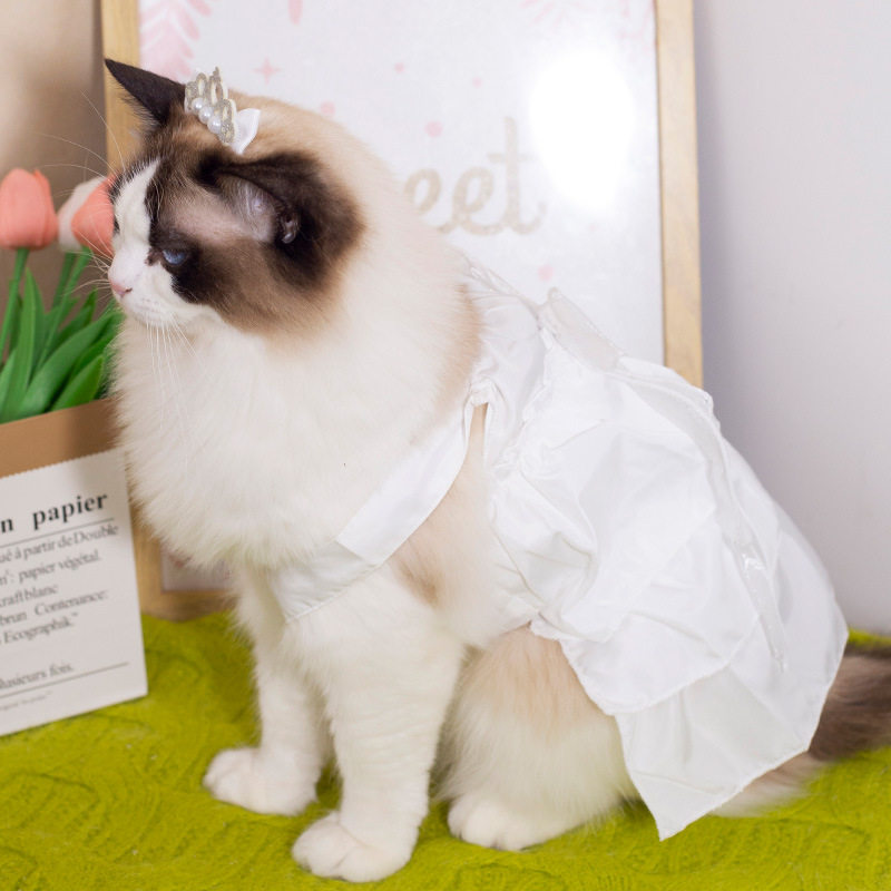 2024新款宠物狗狗婚纱 猫裙子婚礼服+头花+项链套装厂家直销现货