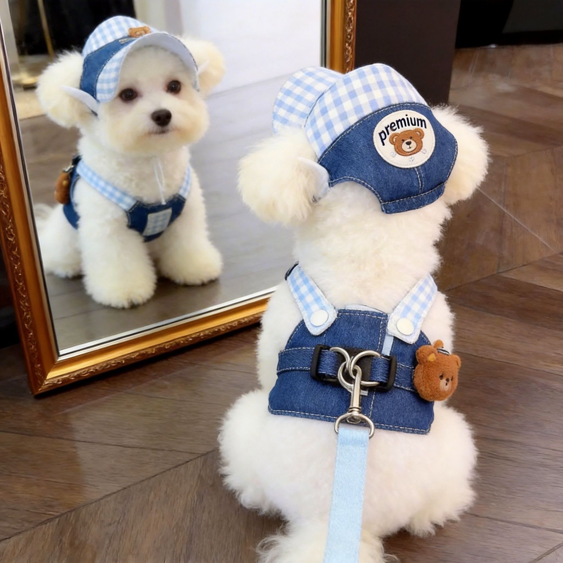 狗狗衣服牵引绳可爱卡通风胸背可调节比熊泰迪小型犬外出牵引衣服