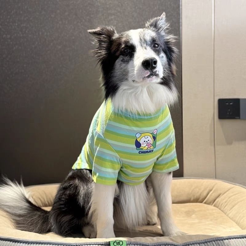 中大型犬狗狗衣服春夏薄款条纹T恤拉布拉多金毛边牧防掉毛空调衫