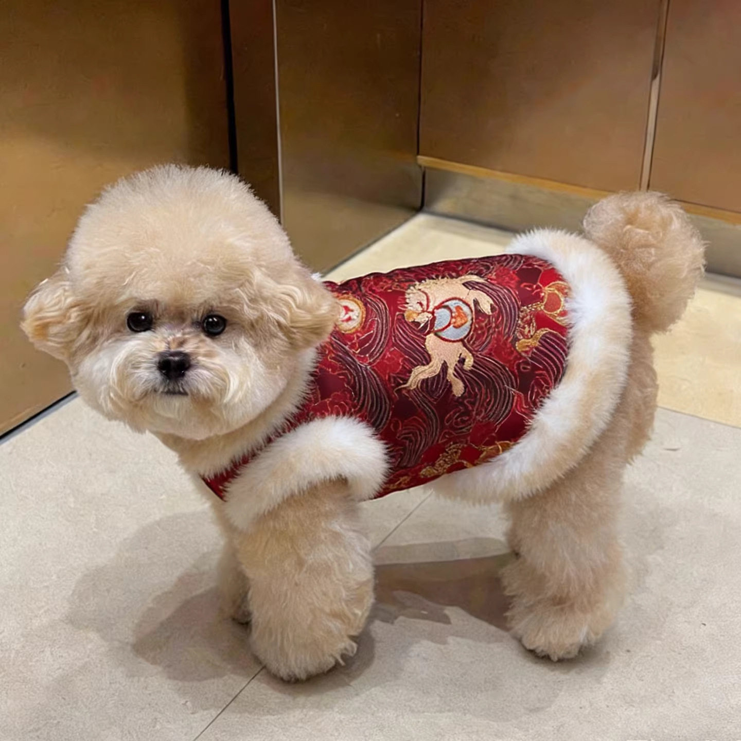 小狗狗衣服冬装比熊小型犬泰迪博美红色喜庆新年宠物猫咪中式唐装