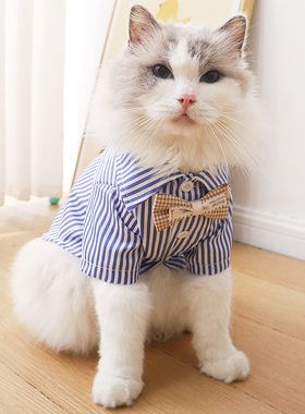 猫猫衣服夏天透气韩版条纹衬衫两个月的德文卷毛猫外出防脏两脚衣