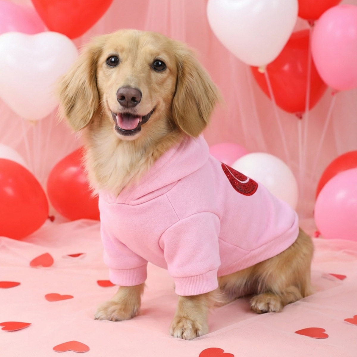 现货宠物服装宠物小狗猫咪衣服可爱小型犬春夏新款甜心派卫衣