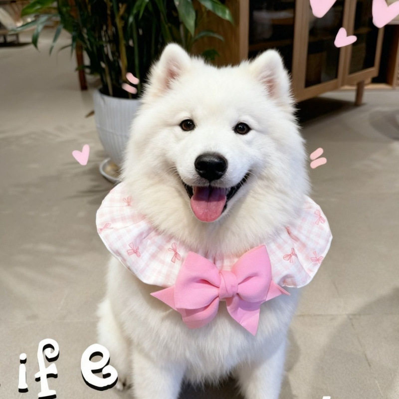 边牧专用狗狗口水巾大型犬金毛围脖围嘴围巾蝴蝶结项圈装饰品配饰